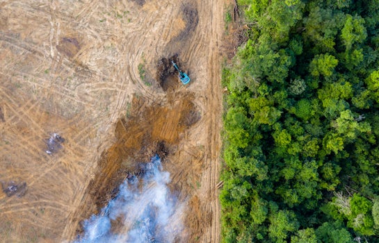 Sustainability deforestation