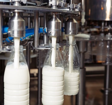 Milk 10
