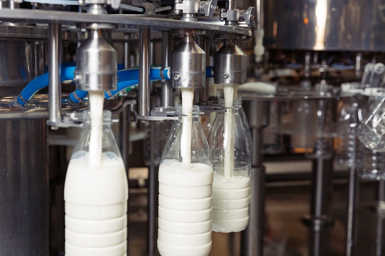 Milk 10