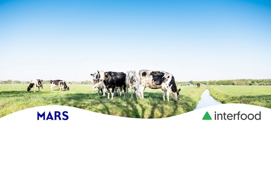 Sustainability page header mars