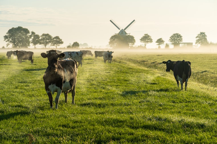 Sustainability solutions